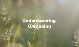 Understanding Wellbeing Module