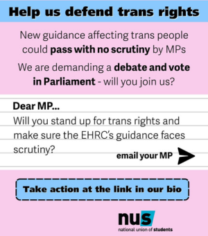 Help defend trans rights and email your MP